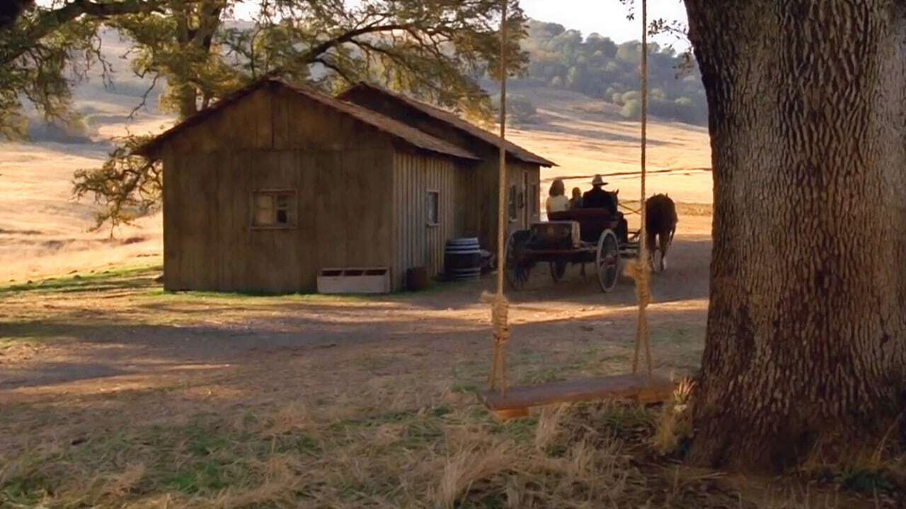 Love Comes Softly Collection background