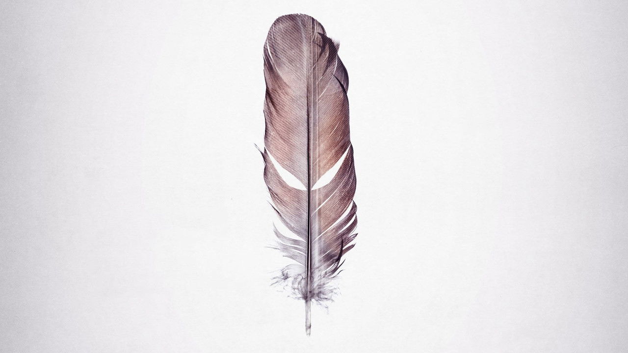 Tickled Collection background