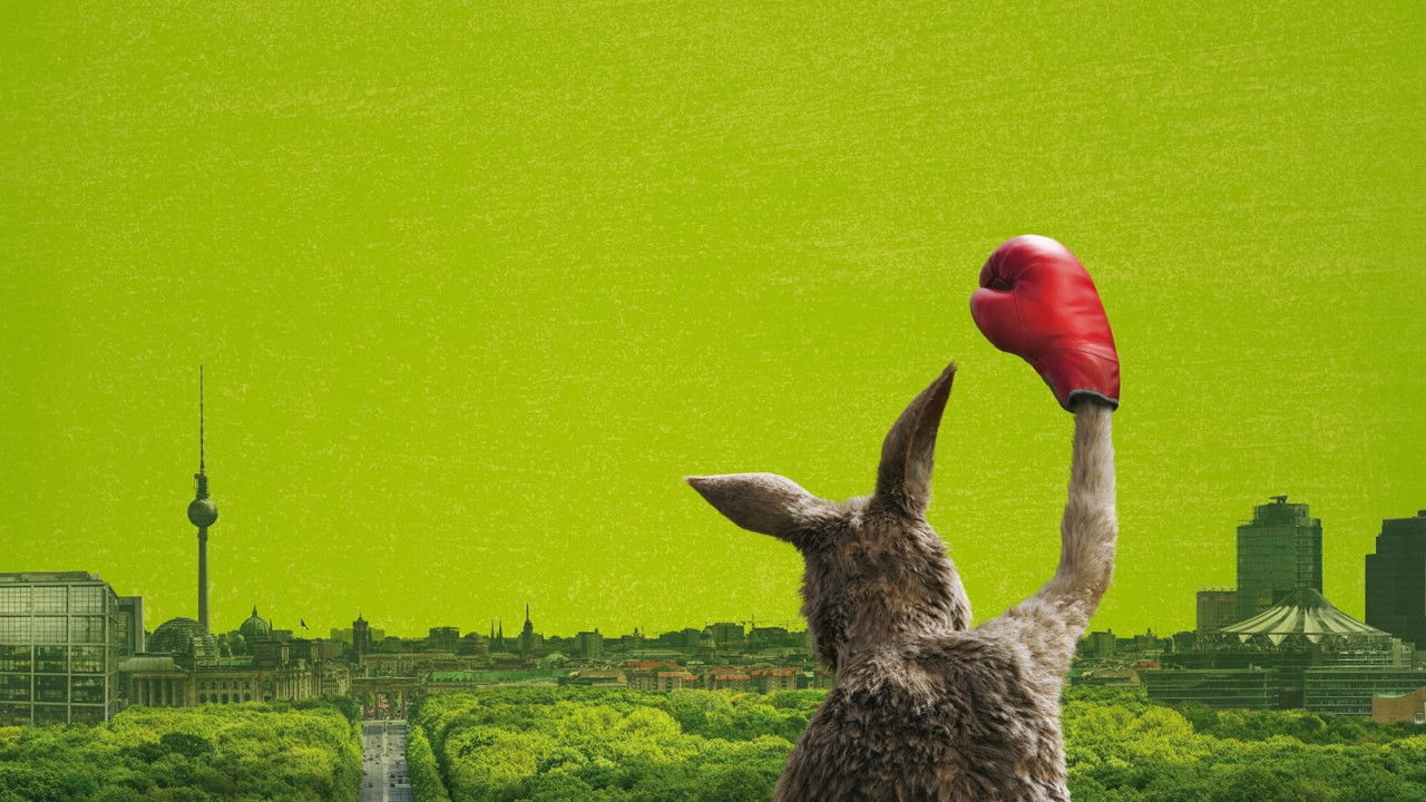 The Kangaroo Chronicles Collection background