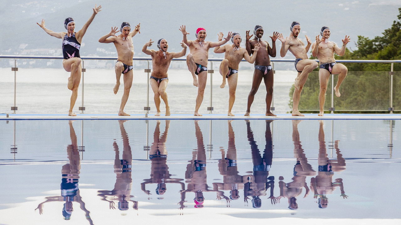 The Shiny Shrimps - Saga background