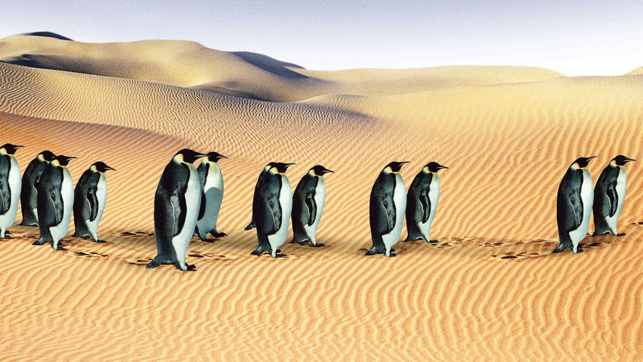 An Inconvenient Collection background