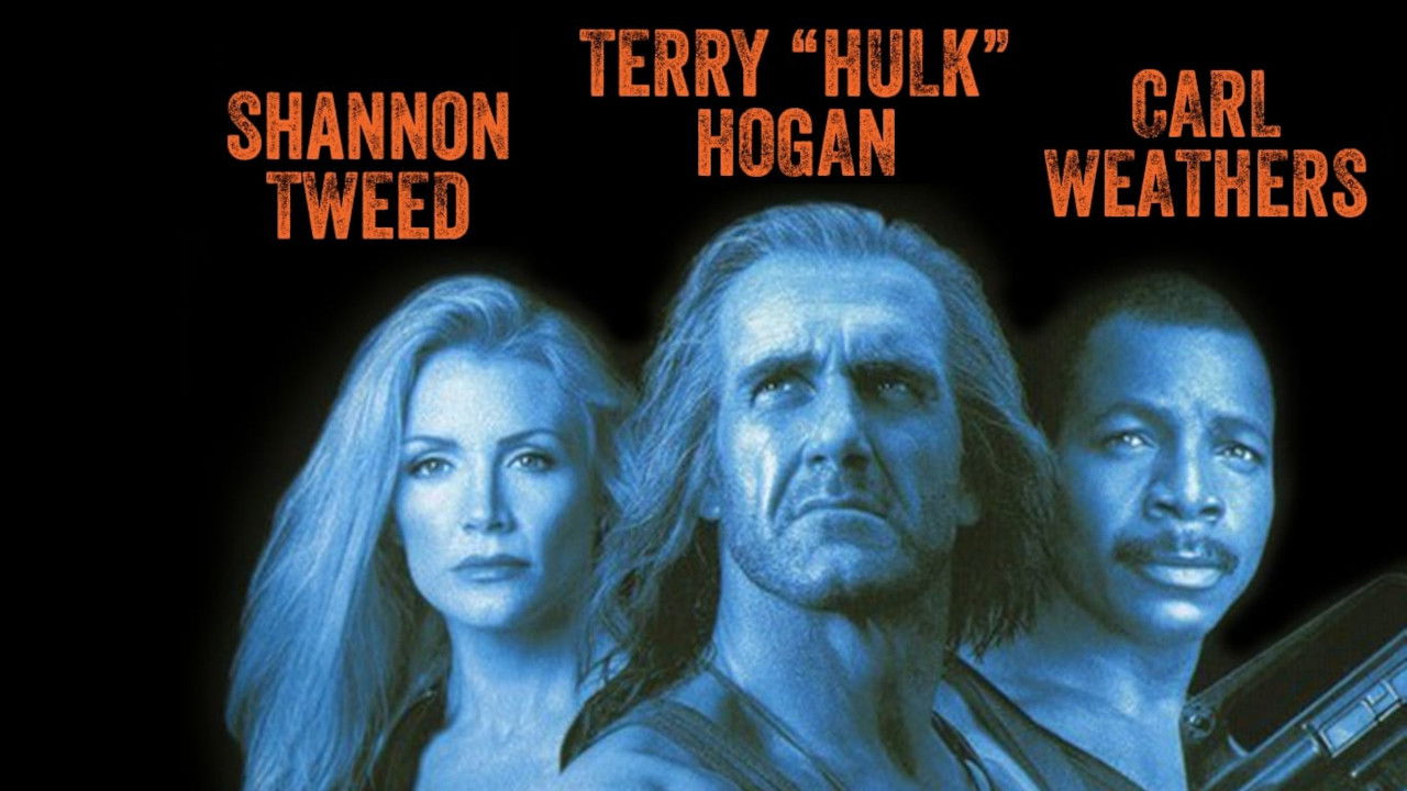 Shadow Warriors Collection background