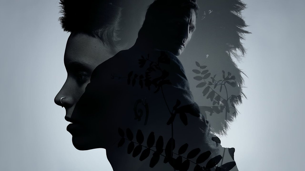 The Girl - Millennium Collection background