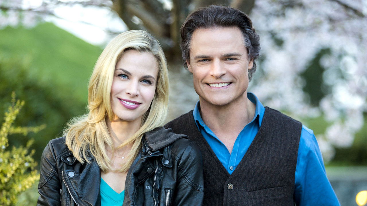 Gourmet Detective Collection background