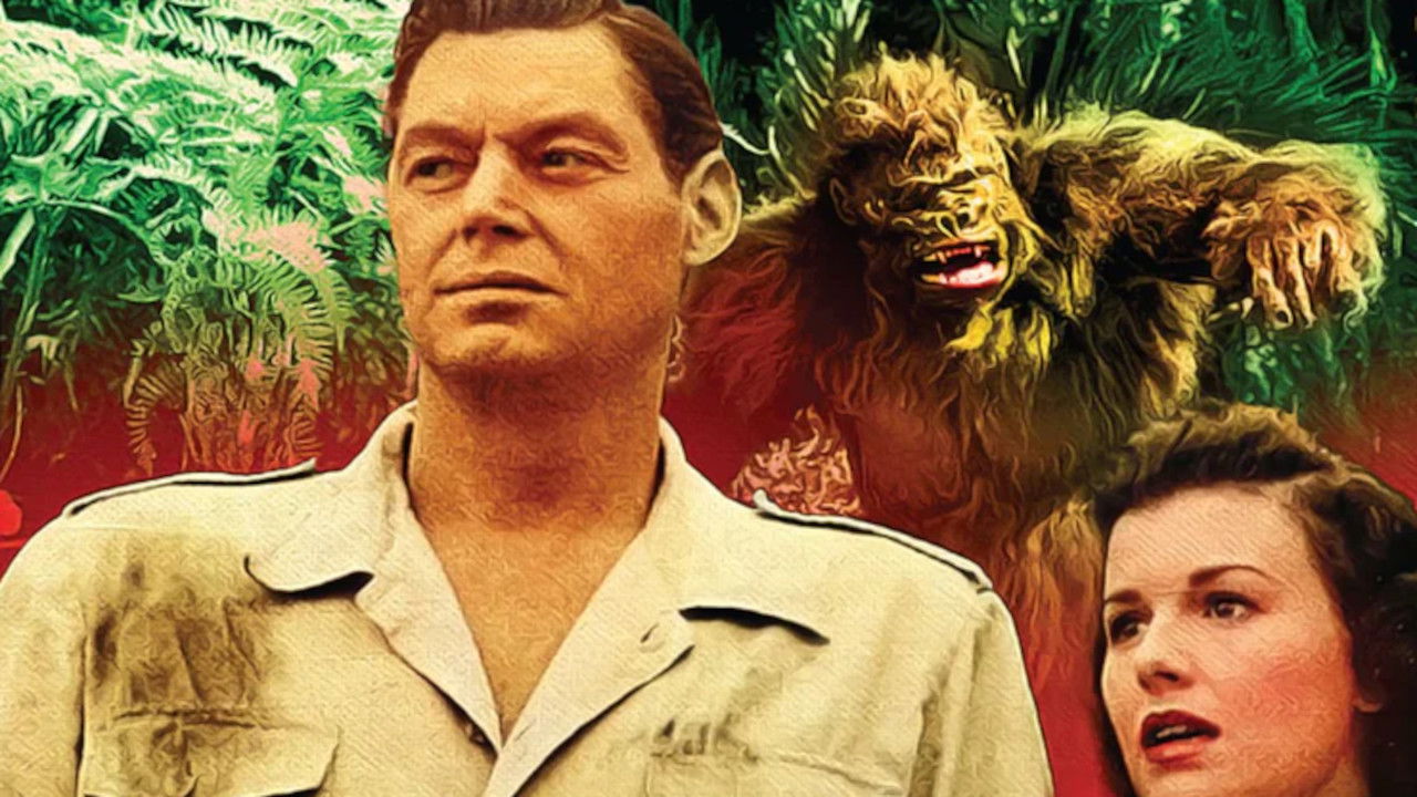 Jungle Jim Collection background