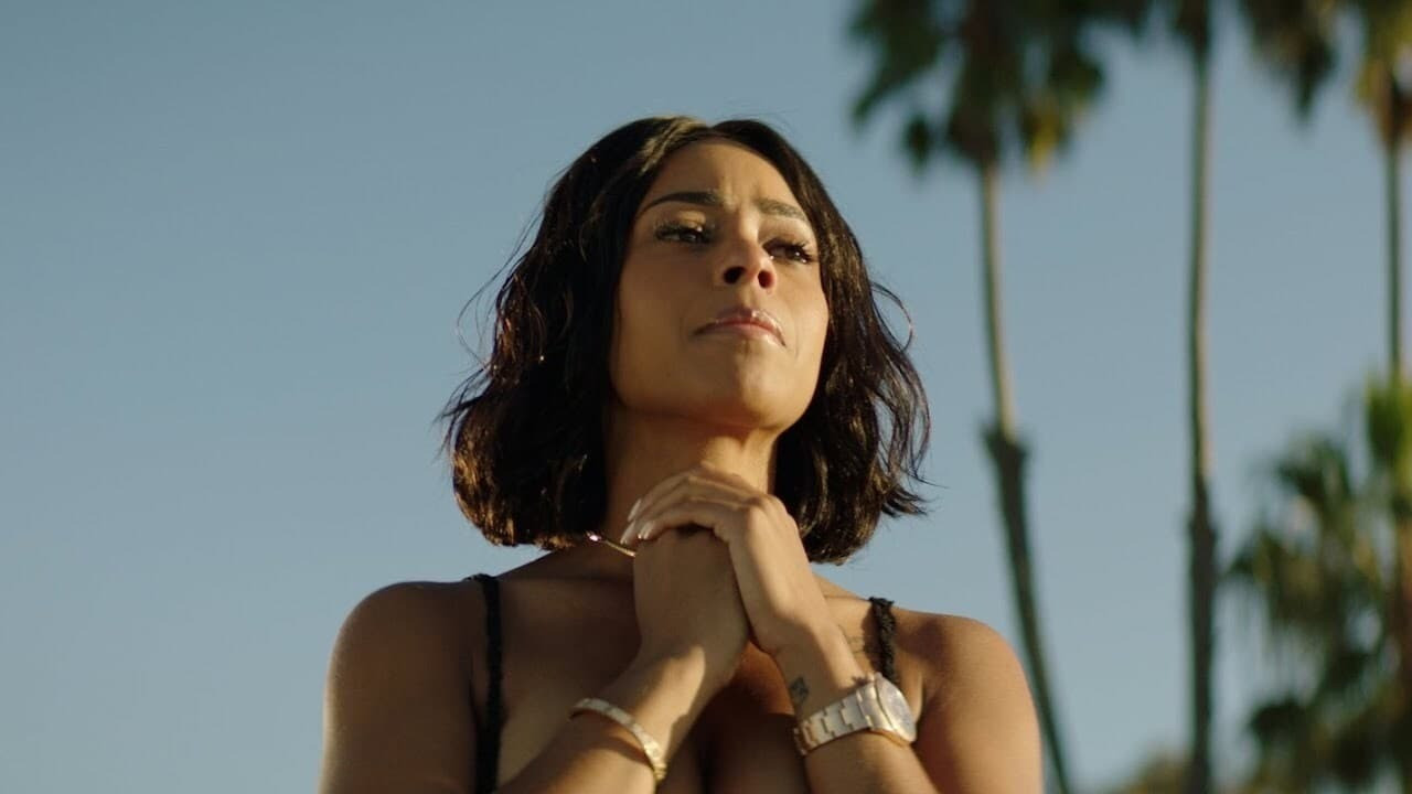 True to the Game Collection background