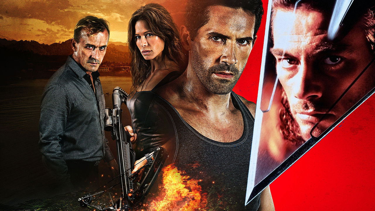 Hard Target Collection background