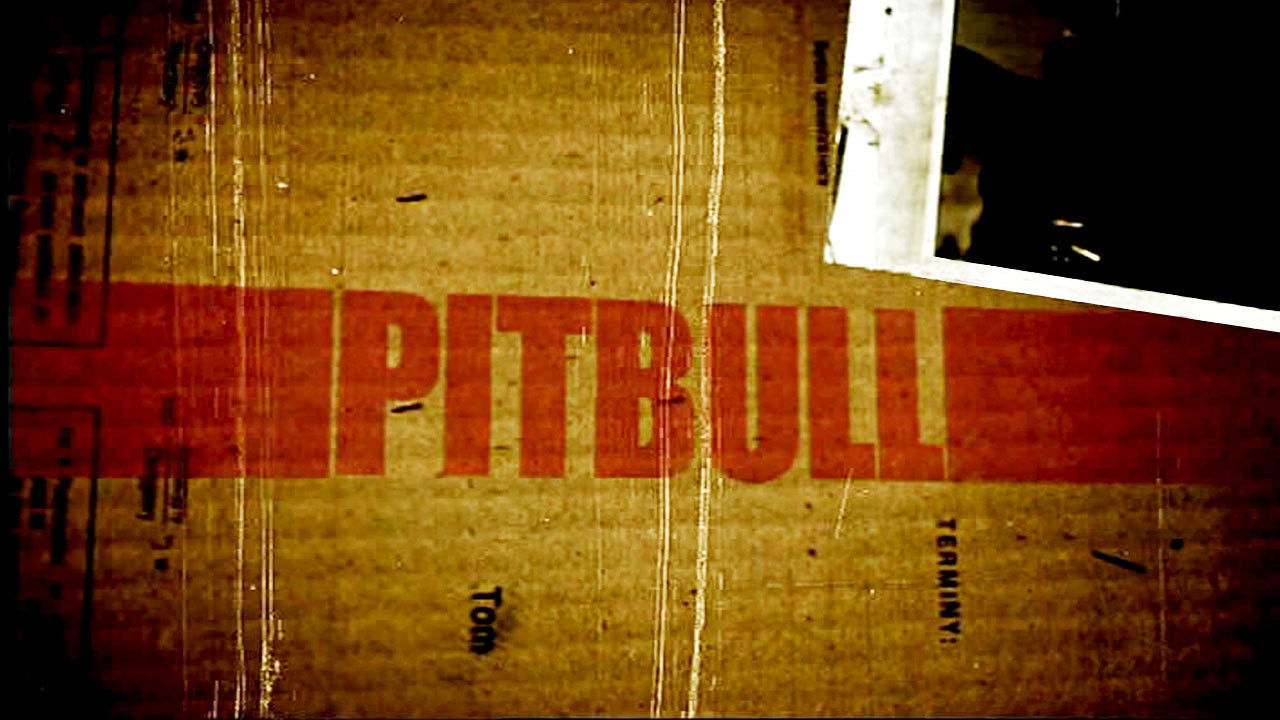 Pitbull Collection background