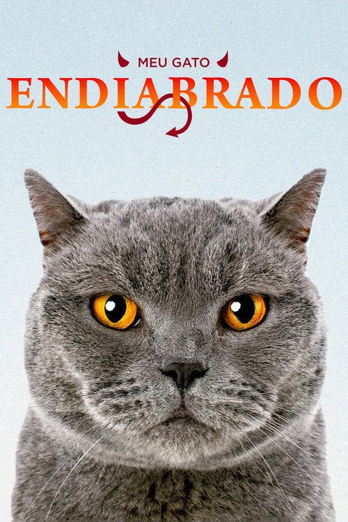 Meu Gato Endiabrado
