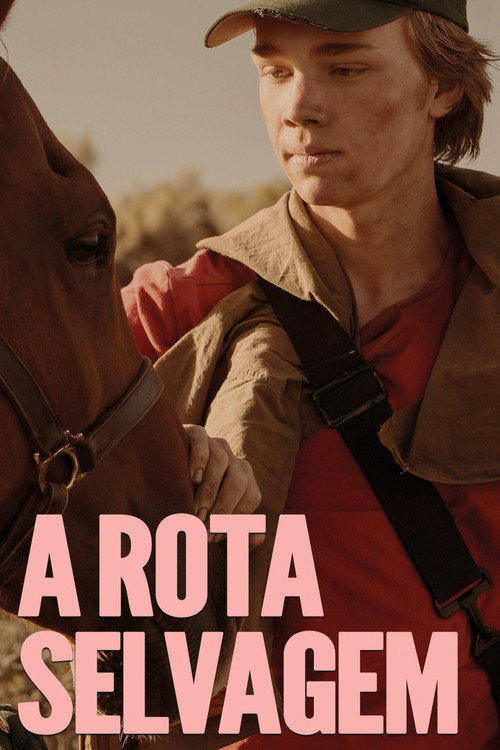 A Rota Selvagem - Assistir online em HD