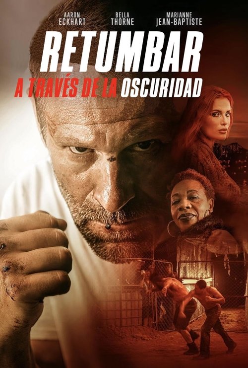 Póster de Un trueno en la oscuridad - Ver online y descargar en CINELATINO.NET