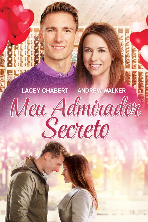 Meu Admirador Secreto - Assistir online em HD