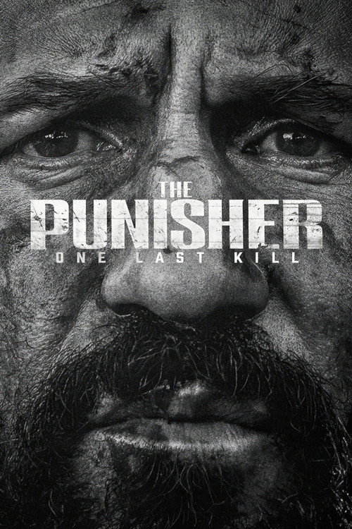 The Punisher: One Last Kill poster