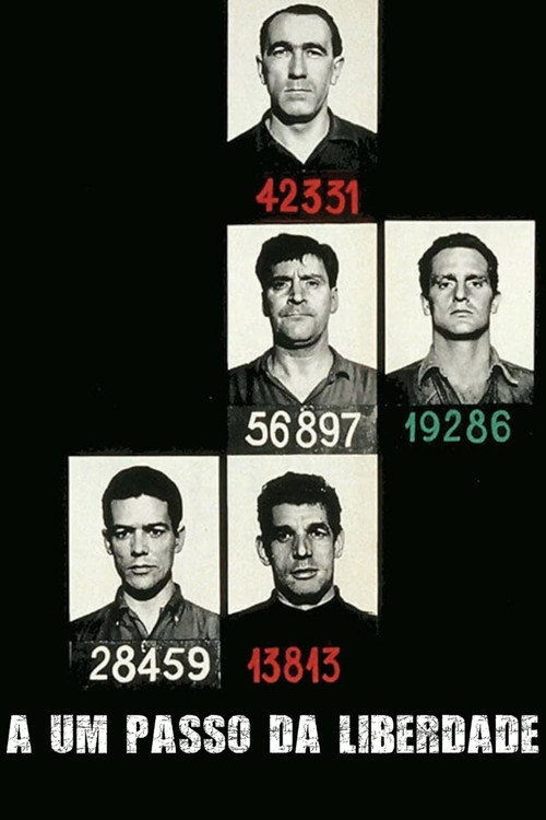 A Um Passo da Liberdade - Assistir online em HD