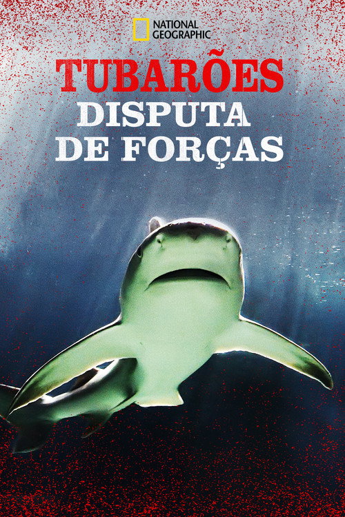 Tubarões: Disputa de Forças