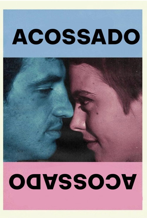 Acossado - Assistir online em HD