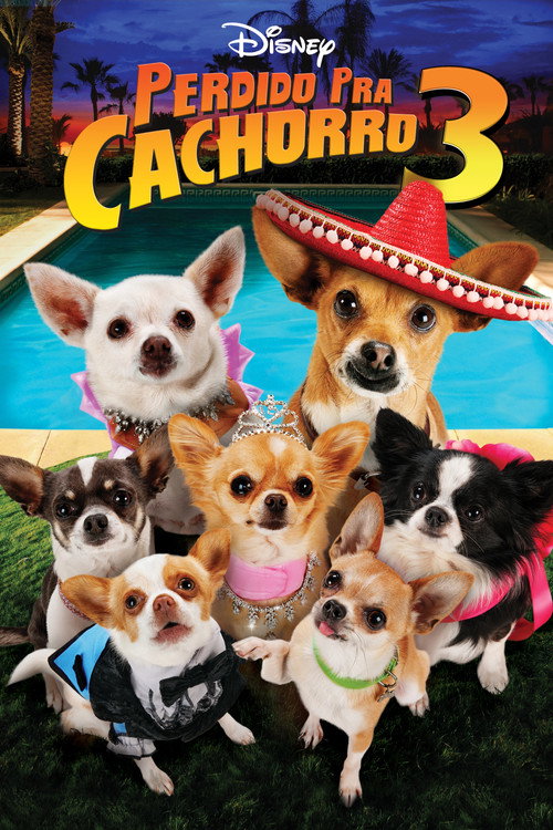 Perdido pra Cachorro 3 - Assistir filme online em HD