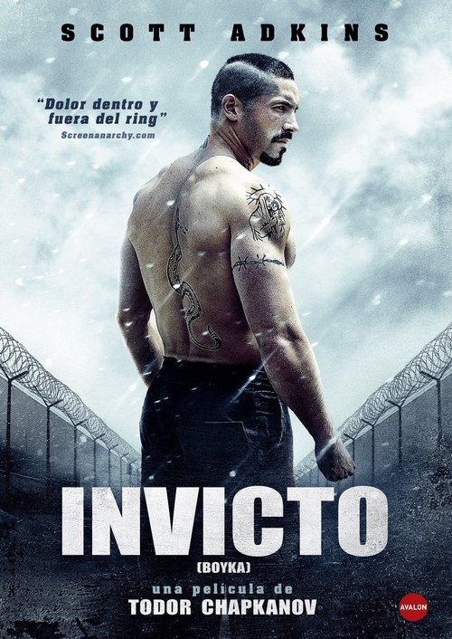 Póster de Invicto 4: La gran pelea - Ver online y descargar en peliculasgratis.lat