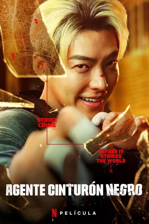Póster de Agente cinturón negro - Ver online y descargar en peliculasgratis.lat