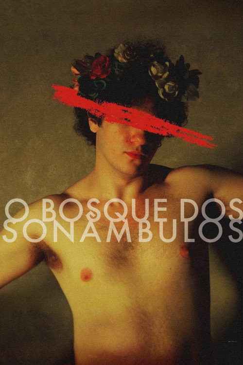 O Bosque dos Sonâmbulos - Assistir online em HD