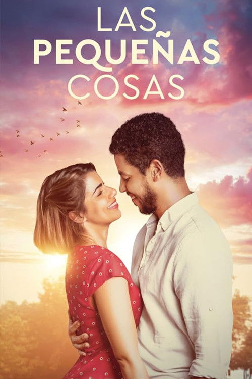 Póster de Las Pequeñas Cosas - Ver online y descargar en CINEMEGA.NET