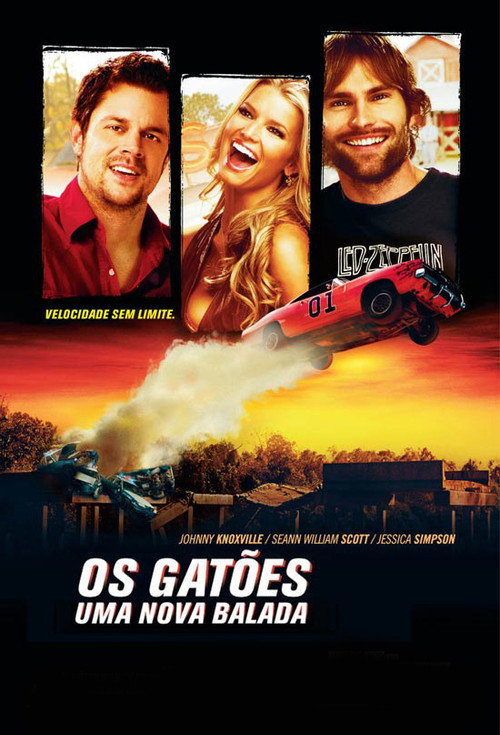 Os Gatões: Uma Nova Balada