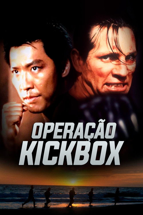 Operação Kickbox - Assistir online em HD