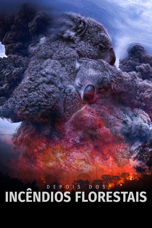 Depois dos Incêndios Florestais - Assistir online em HD