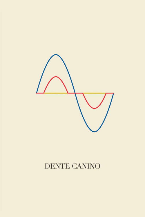 Dente Canino - Assistir online em HD