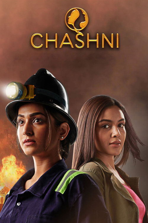 Chashni poster
