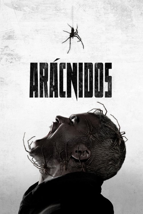 Póster de Arácnidos - Ver online y descargar en CINELATINO.NET