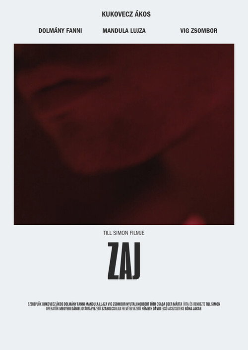 Zaj