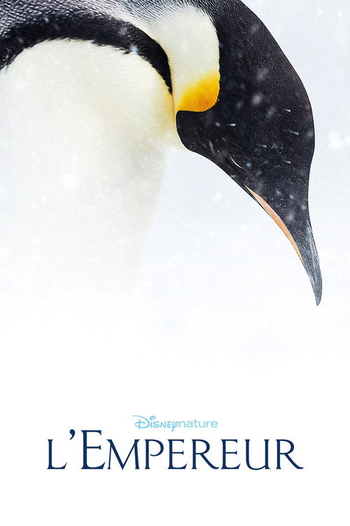 A Marcha dos Pinguins 2 - Assistir online em HD