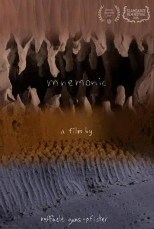 mnemonic