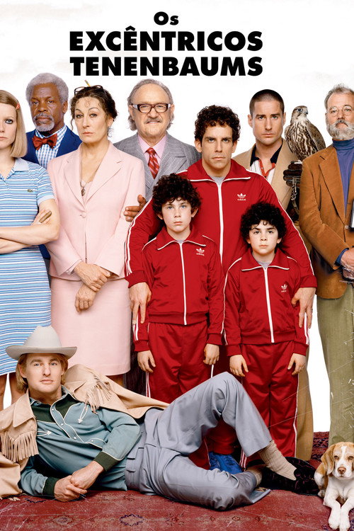 Os Excêntricos Tenenbaums - Assistir online em HD