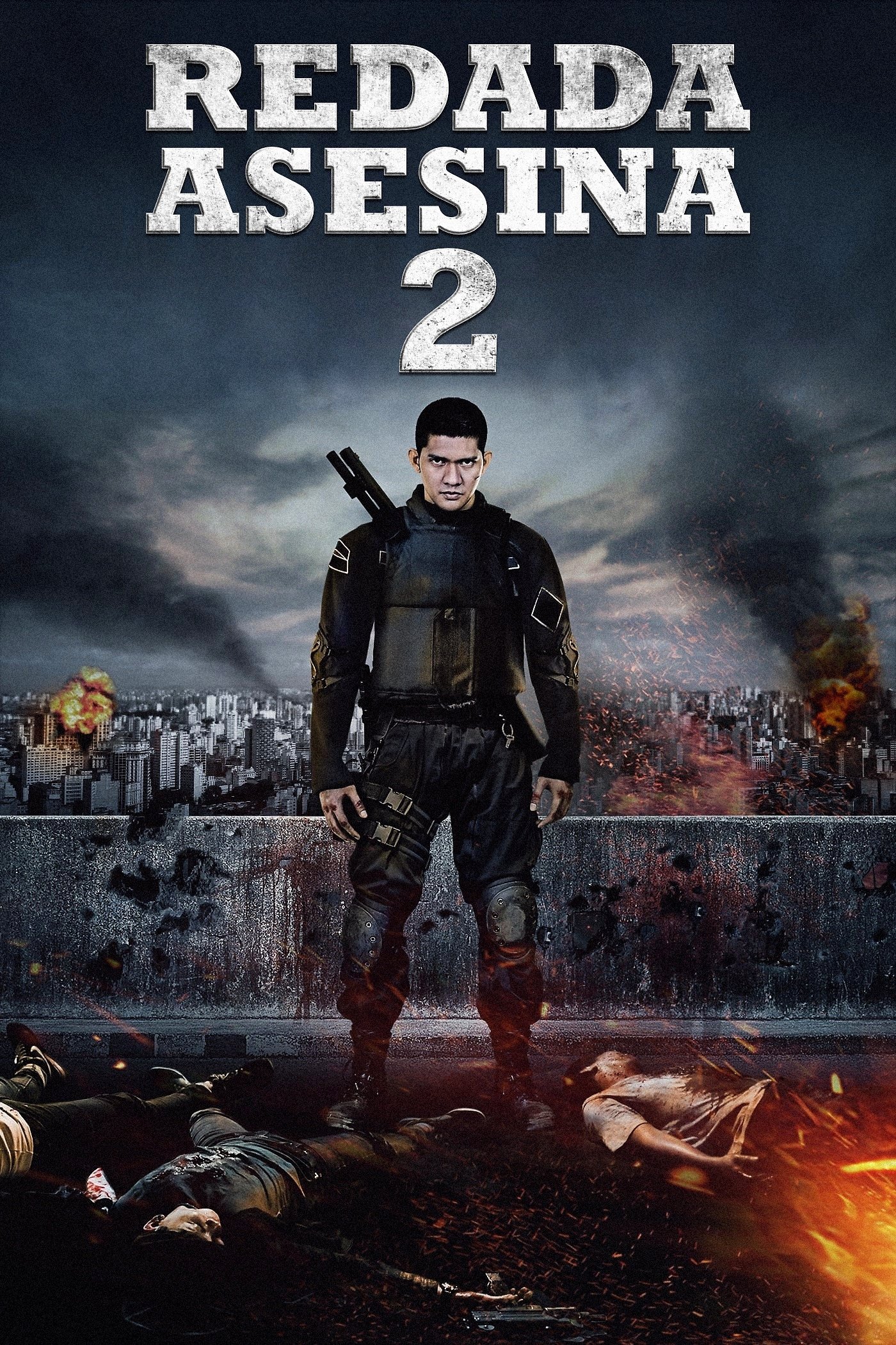 Póster de La Redada 2 FHD - Ver online y descargar en CINELATINO.NET