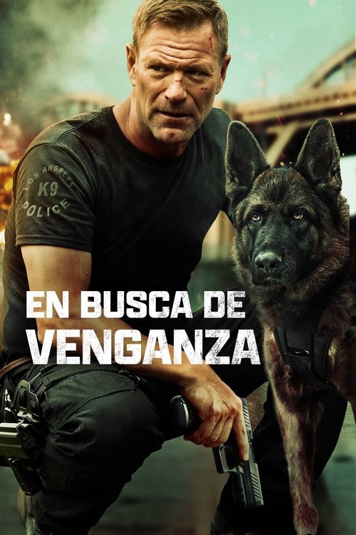 Póster de En busca de venganza - Ver online y descargar en CINELATINO.NET