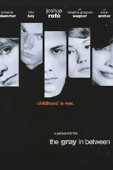 Poster image for The Gray in Between