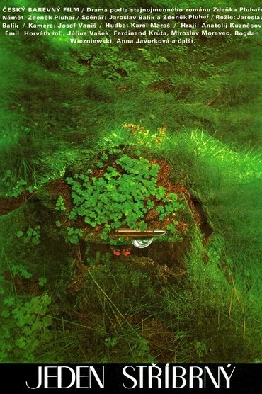 Poster image for One Silver Piece