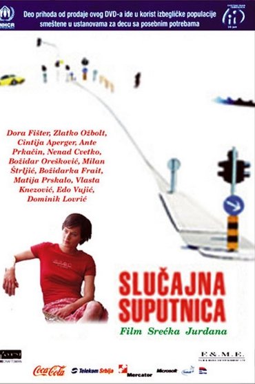 Poster image for Accidental Co-Traveller