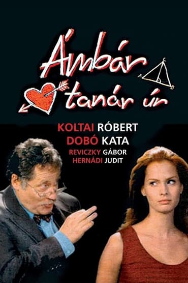 Poster image for Ámbár tanár úr