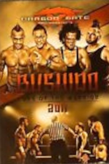 Poster image for Dragon Gate USA Bushido 2011: Code of the Warrior