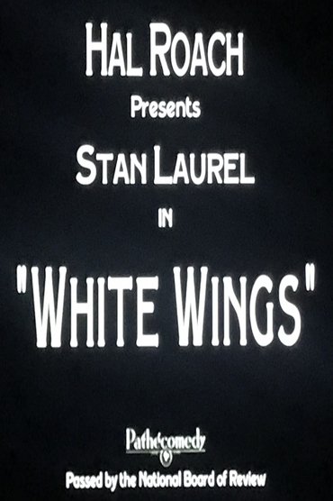 Poster image for White Wings