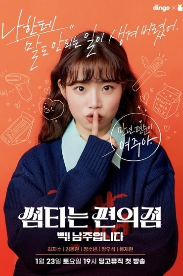 Poster image forConvenience Store Fling