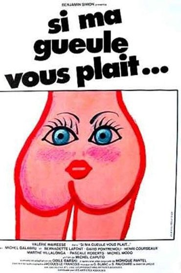Poster image for Si ma gueule vous plaît...