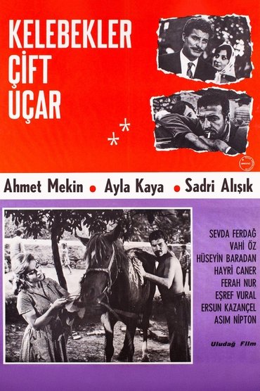 Poster image for Kelebekler Çift Uçar