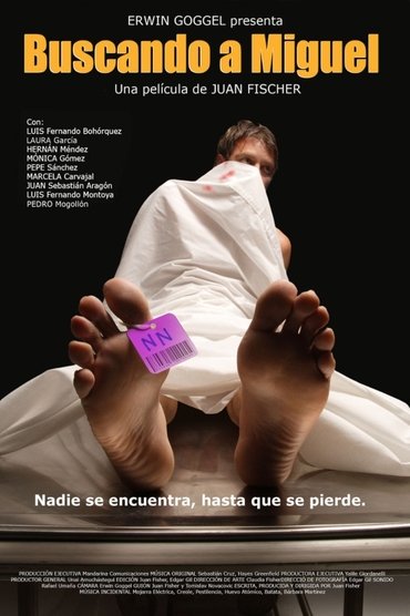 Poster image for Looking for Miguel