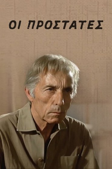 Poster image for The Protectors