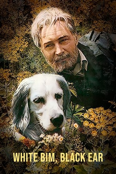 Poster image for White Bim Black Ear