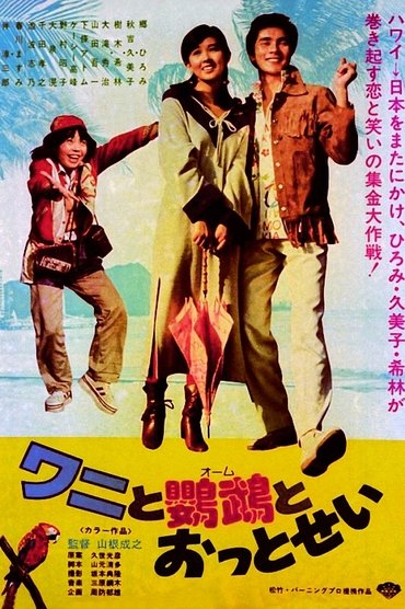 Poster image for Crocodile, Parrot and Fur Seal